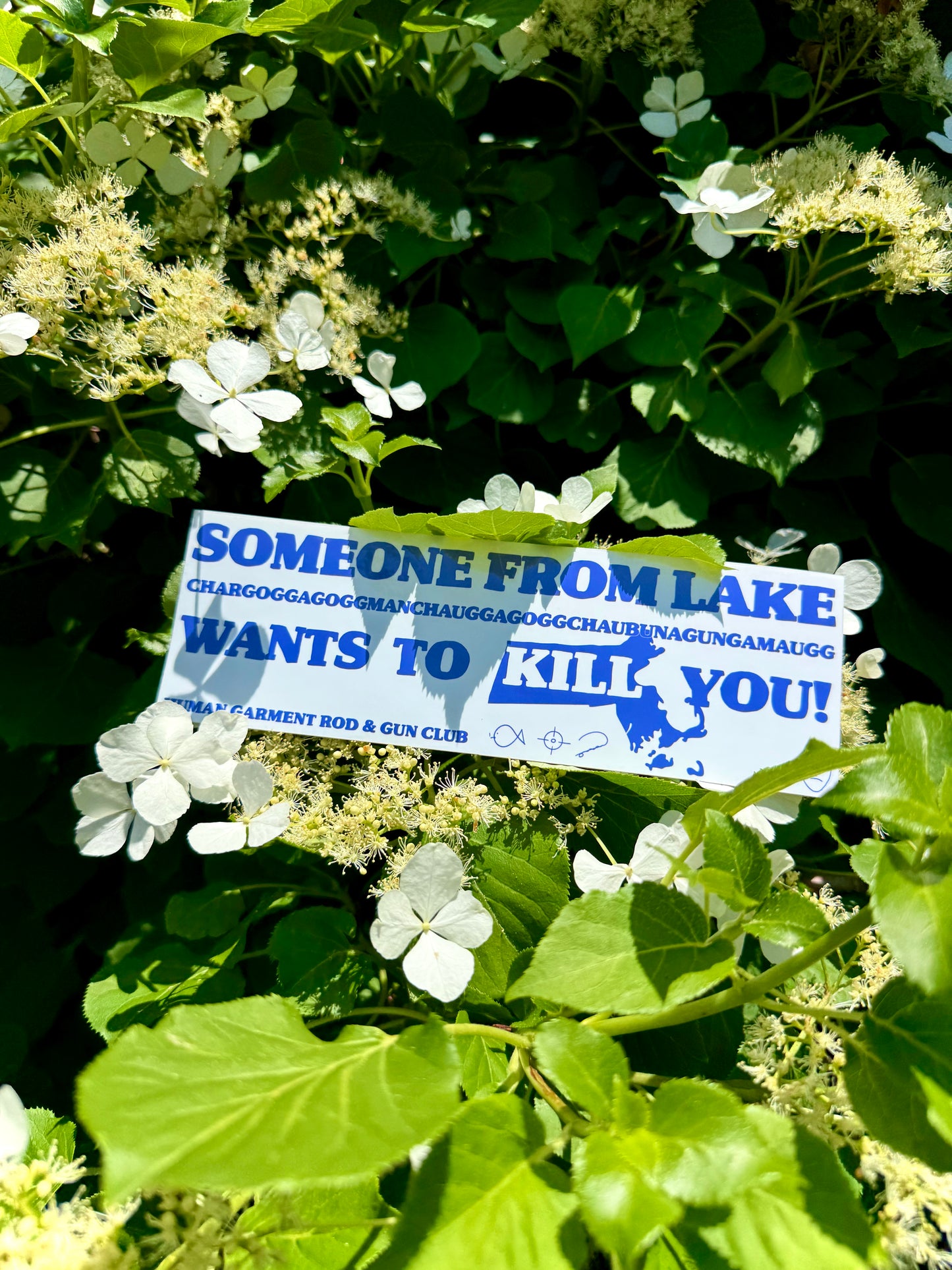 “Lake” Bumper Sticker